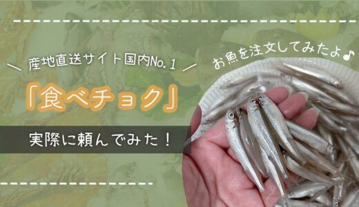 「食べチョク」実際に頼んでみた！産地直送の美味しさを徹底レビュー